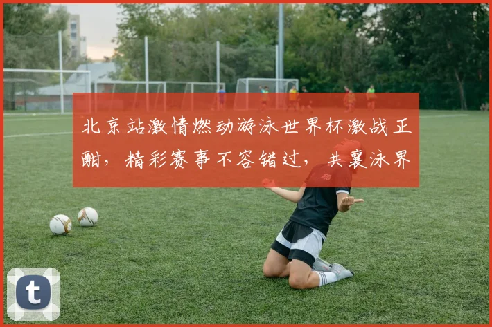 北京站激情燃动游泳世界杯激战正酣，精彩赛事不容错过，共襄泳界盛举