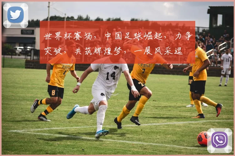 世界杯赛场，中国足球崛起，力争突破，共筑辉煌梦，一展风采逗