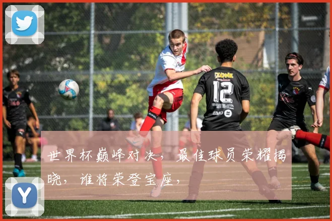 世界杯巅峰对决，最佳球员荣耀揭晓，谁将荣登宝座，