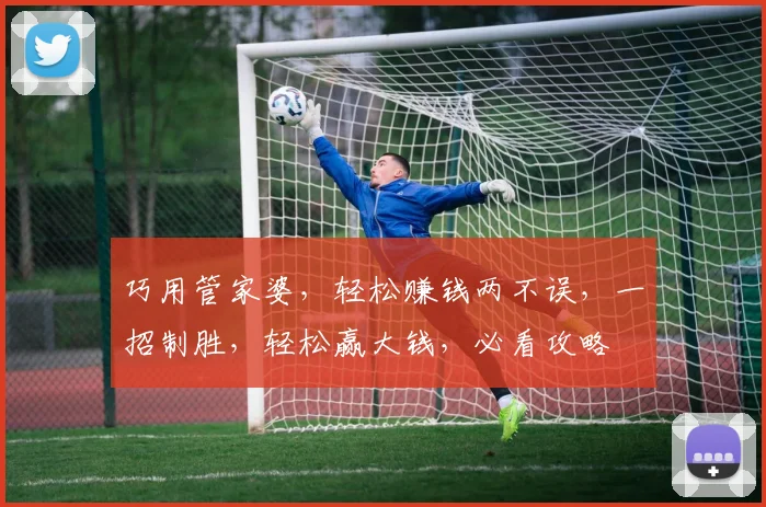 巧用管家婆，轻松赚钱两不误，一招制胜，轻松赢大钱，必看攻略